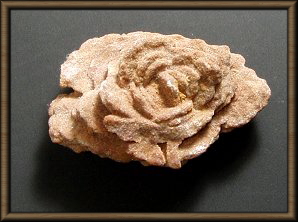 �����̃o��