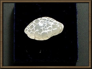 ���m�E�iAgate�j�E�X�l�[�N�X�L��