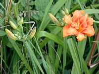 ���u�J���]�E