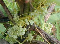 �l�i�V�J�Y����