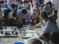 �ώ@��̂悤��