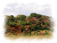 �F�t������