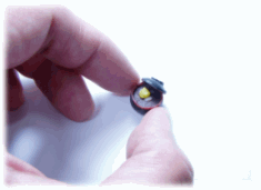 �肵���Ɗق�